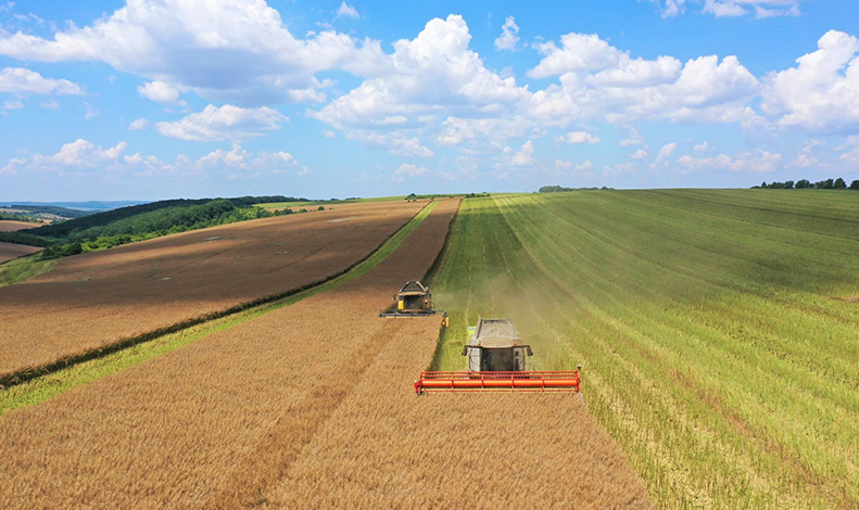 OPERATIONAL EXCELLENCE TO PRODUCE HIGH-QUALITY SEEDS OPERATIONAL EXCELLENCE TO PRODUCE HIGH-QUALITY SEEDS
