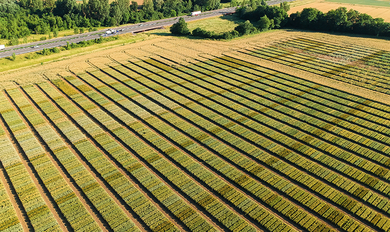 Groupe Euralis - Coopérative Agricole et agroalimentaire - Nos marques