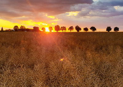 Groupe Euralis - Coopérative Agricole et agroalimentaire - Nos marques