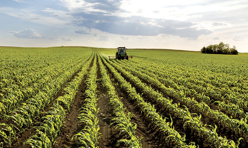 Groupe Euralis - Coopérative Agricole et agroalimentaire - Nos marques