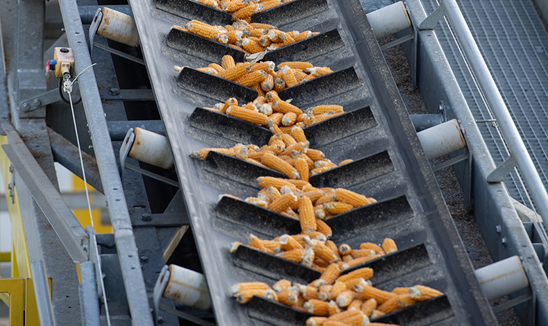 Industrial performance to produce high-quality seeds Industrial performance to produce high-quality seeds