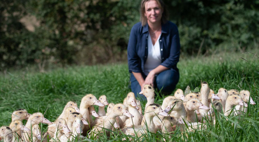 Euralis, stop aux idées reçues - Le bien-être animal