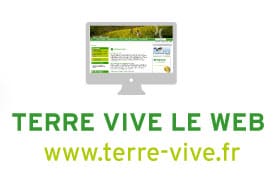 Terrevive le Web