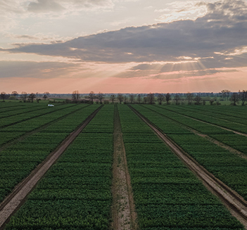 Groupe Euralis - Coopérative Agricole et agroalimentaire