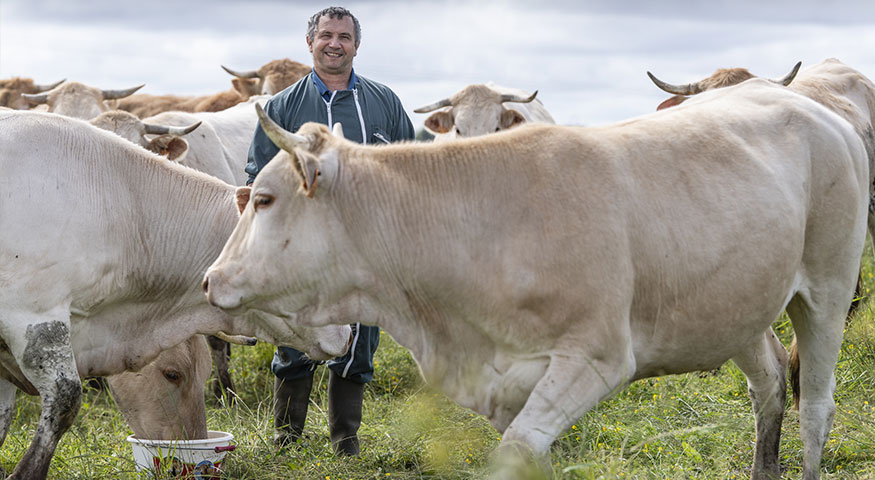 Acteur du développement économique local - photo de l'agriculteur avec ses bovins