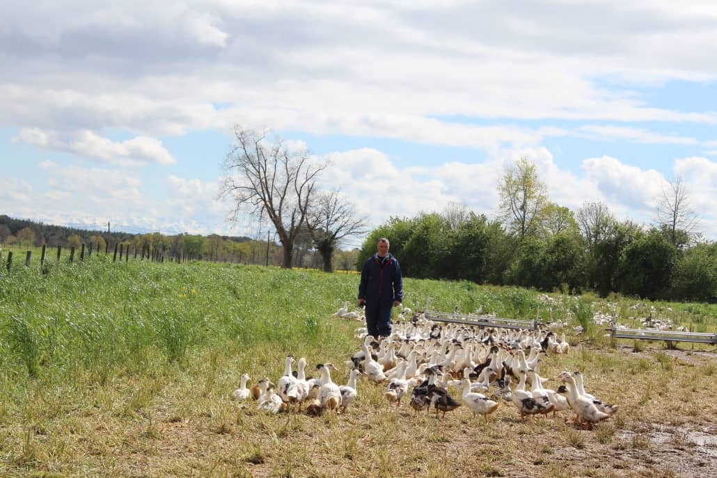 Maison Montfort lance une nouvelle filière Label Rouge pour la production de viandes et foies gras de canard.