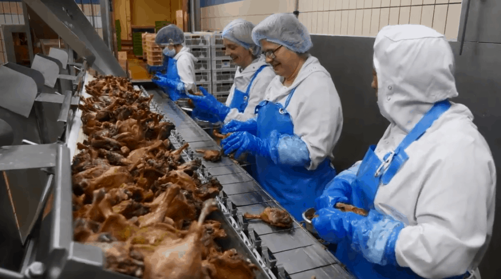 Le site Euralis de Maubourguet s’apprête à recruter 150 personnes… tandis que 250 sont déjà venues grossir les rangs. Le groupe agroalimentaire, acteur majeur dans la production de foie gras, lance une campagne de recrutement d’employés saisonniers, certains de ces CDD étant susceptibles de se transformer en CDI.