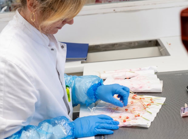 Investir en R&D et innover pour proposer des produits et des solutions novateurs Investir en R&D et innover pour proposer des produits et des solutions novateurs