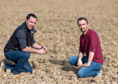 Euralis group - Agricultural activities