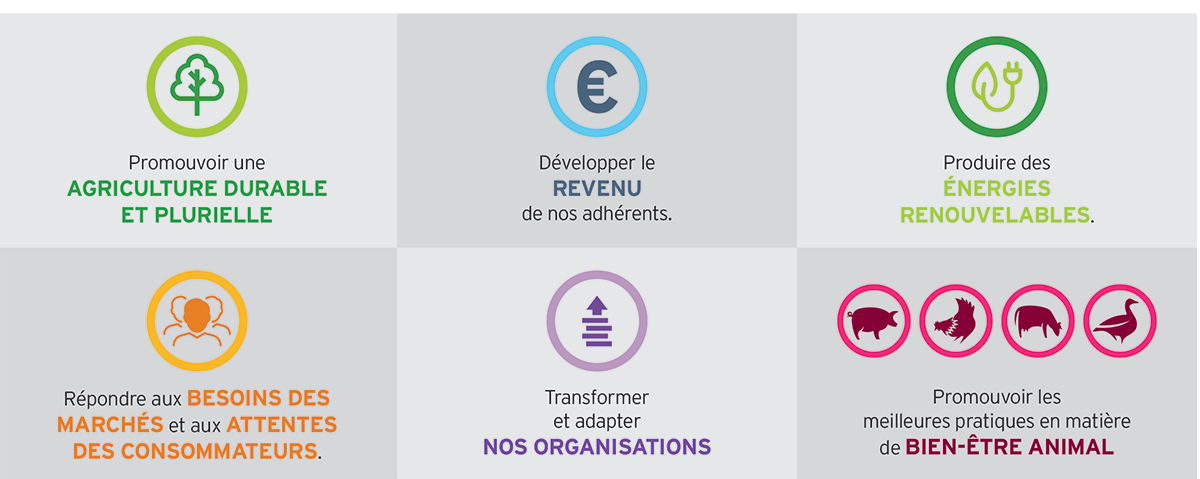 Groupe Euralis, notre vision Groupe Euralis, notre vision