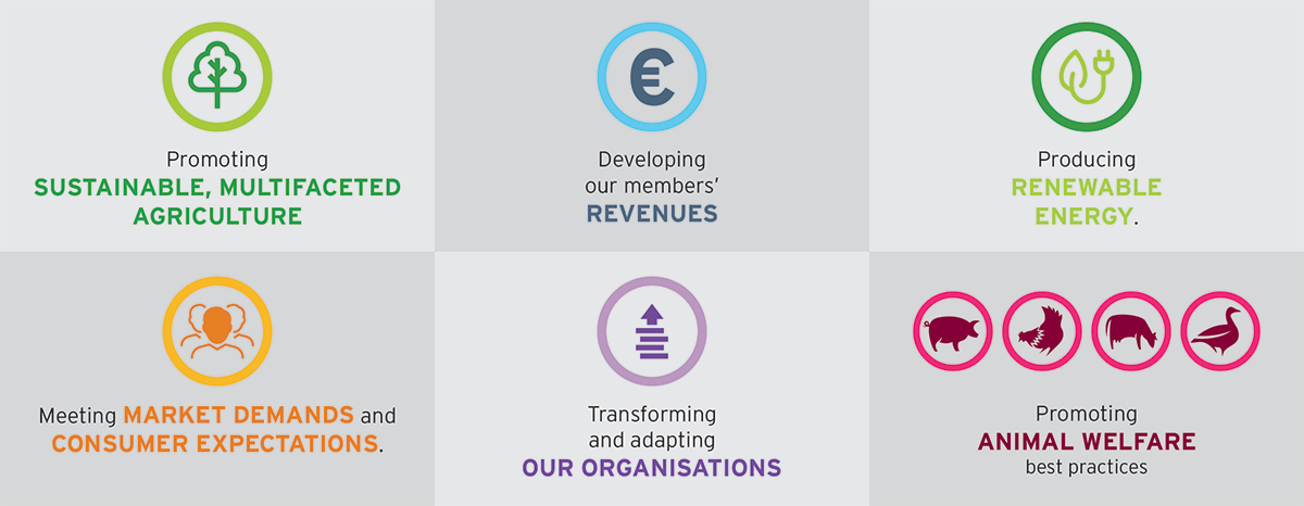 Euralis Group our vision Euralis Group our vision