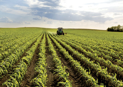 Euralis group - Seeds activities