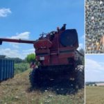 Pau Tempo - Site de votre Centre Commercial - La filière légumes secs fête son premier anniversaire