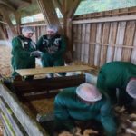 Pau Tempo - Site de votre Centre Commercial - Euralis mobilisé pour la vaccination des canards contre l’IA