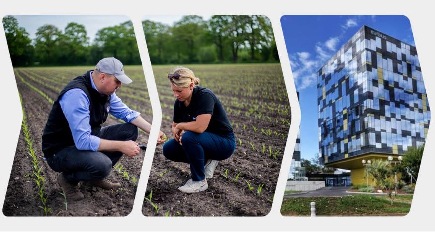 Euralis, 8ème meilleur employeur du secteur agroalimentaire en France