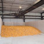Pau Tempo - Site de votre Centre Commercial - Euralis has supported the creation of a maize seed sorting station