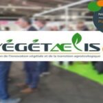Pau Tempo - Site de votre Centre Commercial - Euralis partenaire de Végétaelis 2024