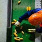 Pau Tempo - Site de votre Centre Commercial - La sécurité au travail, une priorité absolue